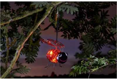 Smart Solar Bug Light Ladybird (1080019)