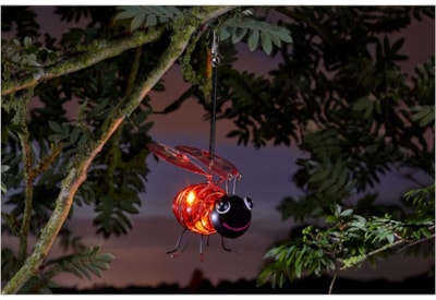 Smart Solar Bug Light Ladybird Smart Solar Bug Light Ladybird