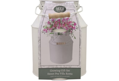 Bee Milkchurn Sweet Pea Bee Milkchurn Sweet Pea