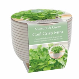 Sow Nurtured Ceramic Aromatic Herbs
