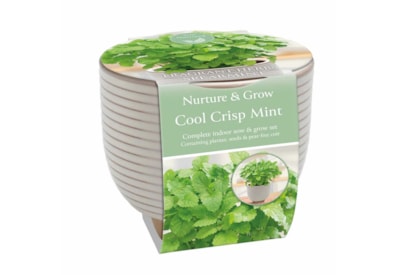 Sow Nurtured Ceramic Aromatic Herbs