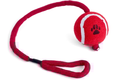 Petface Tennis Ball On A Rope Petface Tennis Ball On A Rope