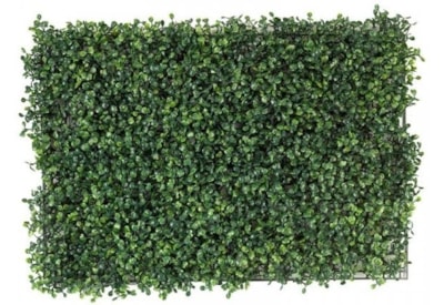 Smart Garden Boxwood Screening Panel 40x60