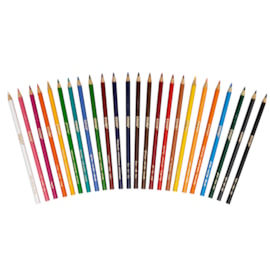 Crayola 24 Coloured Pencils (256246-312)