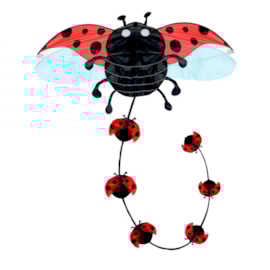 Brookite Ladybird Kite Brookite Ladybird Kite