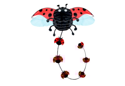 Brookite Ladybird Kite Brookite Ladybird Kite