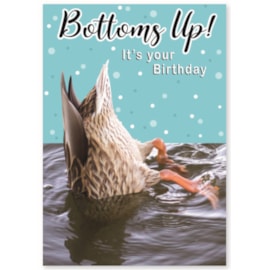 Simon Elvin Humour Card Asstd Simon Elvin Humour Card Asstd