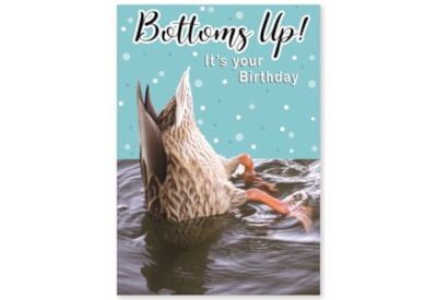 Simon Elvin Humour Card Asstd Simon Elvin Humour Card Asstd