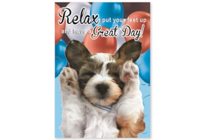 Simon Elvin Humour Card Asstd Simon Elvin Humour Card Asstd