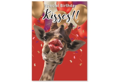 Simon Elvin Humour Card Asstd Simon Elvin Humour Card Asstd