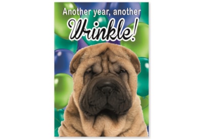 Simon Elvin Humour Card Asstd Simon Elvin Humour Card Asstd