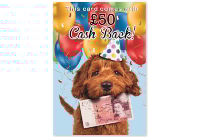 Simon Elvin Humour Card Asstd Simon Elvin Humour Card Asstd