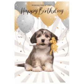 Simon Elvin Wags & Whiskers Card Simon Elvin Wags & Whiskers Card