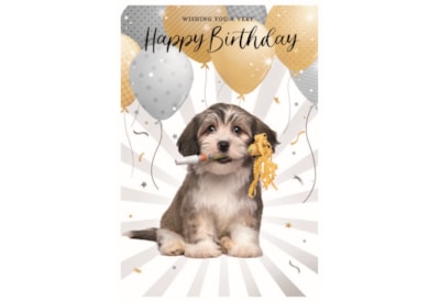Simon Elvin Wags & Whiskers Card Simon Elvin Wags & Whiskers Card
