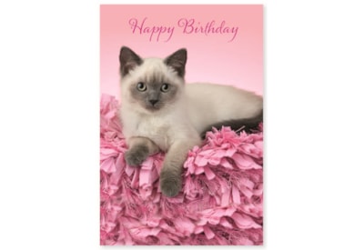 Simon Elvin Wags & Whiskers Card Simon Elvin Wags & Whiskers Card