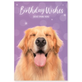 Simon Elvin Wags & Whiskers Card Simon Elvin Wags & Whiskers Card