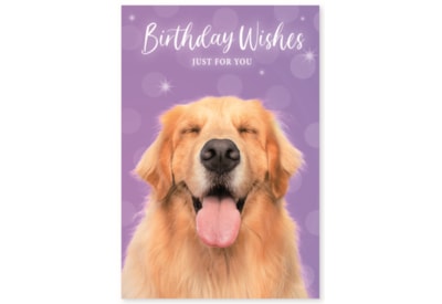 Simon Elvin Wags & Whiskers Card Simon Elvin Wags & Whiskers Card