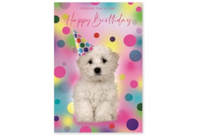 Simon Elvin Wags & Whiskers Card Simon Elvin Wags & Whiskers Card