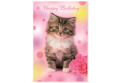 Simon Elvin Wags & Whiskers Card Simon Elvin Wags & Whiskers Card
