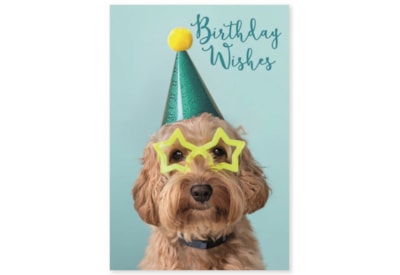 Simon Elvin Wags & Whiskers Card Simon Elvin Wags & Whiskers Card