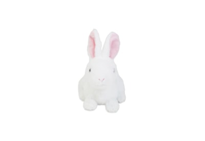 Bunny Plush 8"