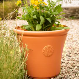 Creekwood Chatsworth Pot Terracotta 56Cm