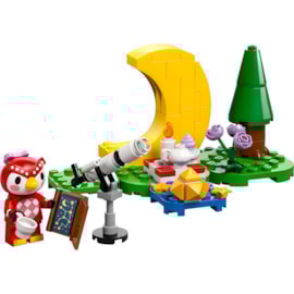 Lego® Animal Crossing Stargazing with Celeste