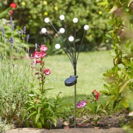 Smart Garden 8 Stem Gloglobes Cool White