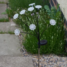 8-Stem Floralights - Warm White