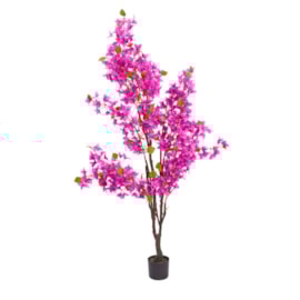 Smart Garden Bougainvillea 170cm