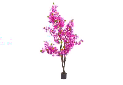 Smart Garden Bougainvillea 170cm Smart Garden Bougainvillea 170cm