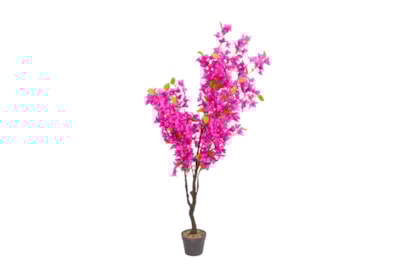 Smart Garden Bougainvillea 140cm Smart Garden Bougainvillea 140cm