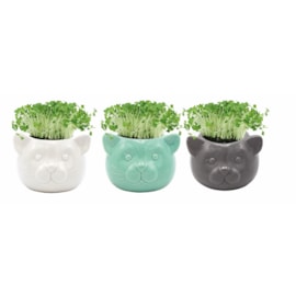 G Plants Cress Head Grow Pots Ceramic (440010)