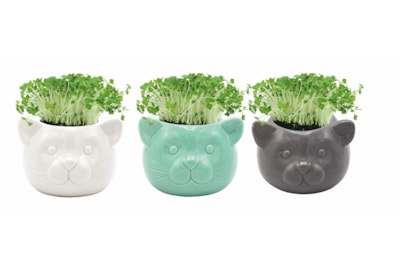 G Plants Cress Head Grow Pots Ceramic (440010)