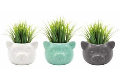 G Plants Grass Head Grow Pots Ceramic (440000)