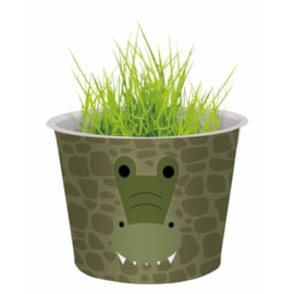 G Plants Grass Head Grow Pots (340291)