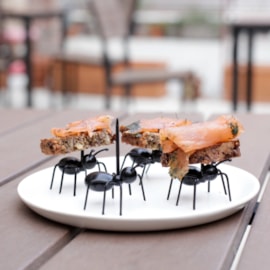 Party Picks Ants S/20 Party Picks Ants S/20