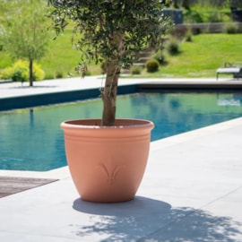 Creekwood Terracotta Planter Fluer 40Cm Creekwood Terracotta Planter Fluer 40Cm