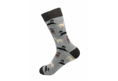 Eco Chic Grey Labradors Bamboo Socks 6-11 Eco Chic Grey Labradors Bamboo Socks 6-11