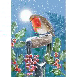 Christmas Card -  Winter Wildlife