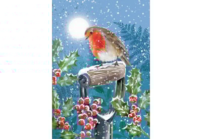 Christmas Card -  Winter Wildlife