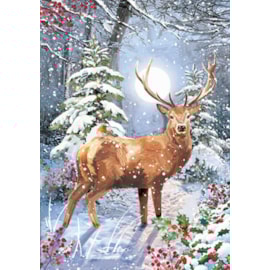 Christmas Card -  Winter Wildlife