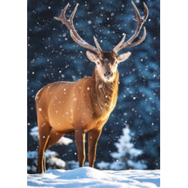 Christmas Card -  Christmas Animals