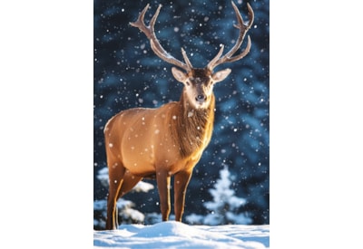 Christmas Card -  Christmas Animals