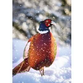 Christmas Card - Christmas Animals Christmas Card - Christmas Animals