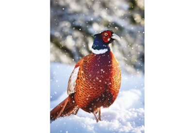 Christmas Card -  Christmas Animals