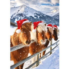Christmas Card -  Christmas Animals