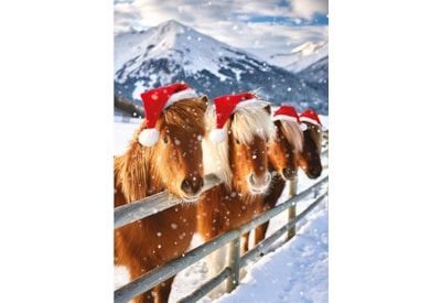 Christmas Card -  Christmas Animals