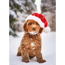 Christmas Card -  Christmas Animals