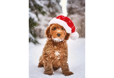 Christmas Card -  Christmas Animals